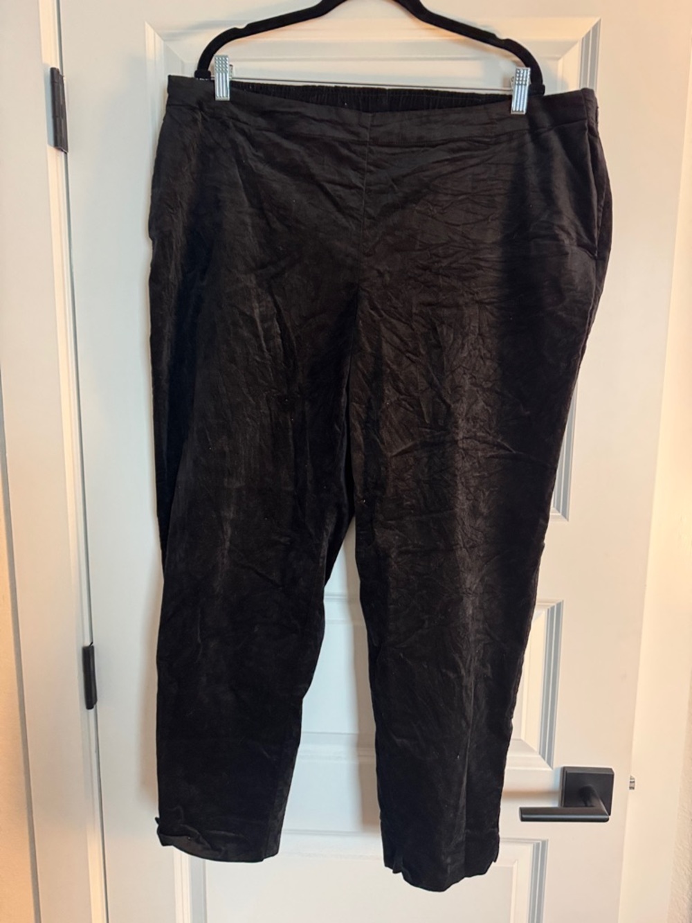 J. Jill Black Women's Trousers